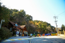 관광지 - 대관령자연휴양림 상세화면 | 강원관광 > ONLY 강원 > 관광지 강원관광