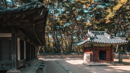 관광지 - 청령포 상세화면 | 강원관광 > ONLY 강원 > 관광지 강원관광