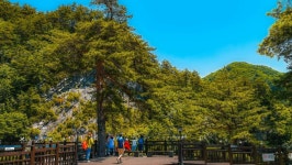 관광지 - 구문소(삼형제폭포) 상세화면 | 강원관광 > ONLY 강원 > 관광지 강원관광