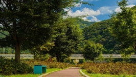 관광지 - 산소길 상세화면 | 강원관광 > ONLY 강원 > 관광지 강원관광