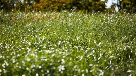 관광지 - 태기산 상세화면 | 강원관광 > ONLY 강원 > 관광지 강원관광