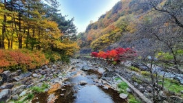 관광지 - 항골계곡 트레킹로 상세화면 | 강원관광 > ONLY 강원 > 관광지 강원관광