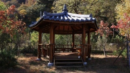 TOUR 강원 | 강원관광 > TOUR 강원 강원관광