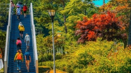 TOUR 강원 | 강원관광 > TOUR 강원 강원관광