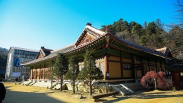 관광지 - 월정사 전나무숲길 상세화면 | 강원관광 > ONLY 강원 > 관광지 강원관광