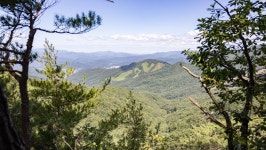 관광지 - 용화산 상세화면 | 강원관광 > ONLY 강원 > 관광지 강원관광