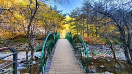 관광지 - 항골계곡 트레킹로 상세화면 | 강원관광 > ONLY 강원 > 관광지 강원관광