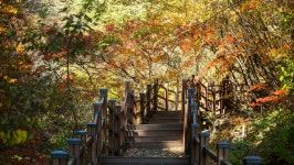 관광지 - 항골계곡 트레킹로 상세화면 | 강원관광 > ONLY 강원 > 관광지 강원관광