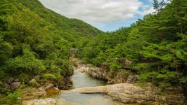 관광지 - 무릉달빛호암소길 상세화면 | 강원관광 > ONLY 강원 > 관광지 강원관광