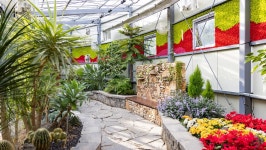 관광지 - 설악산 자생식물원 상세화면 | 강원관광 > ONLY 강원 > 관광지 강원관광