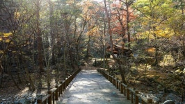 관광지 - 대관령자연휴양림 상세화면 | 강원관광 > ONLY 강원 > 관광지 강원관광