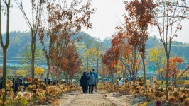 관광지 - 연당원 상세화면 | 강원관광 > ONLY 강원 > 관광지 강원관광