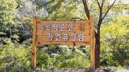 관광지 - 국립백운산자연휴양림 상세화면 | 강원관광 > ONLY 강원 > 관광지 강원관광