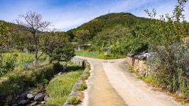 관광지 - 왕곡마을 상세화면 | 강원관광 > ONLY 강원 > 관광지 강원관광