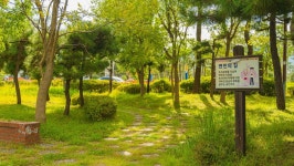 관광지 - 설악해맞이공원 상세화면 | 강원관광 > ONLY 강원 > 관광지 강원관광