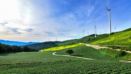 관광지 - 매봉산 바람의 언덕 상세화면 | 강원관광 > ONLY 강원 > 관광지 강원관광