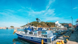 관광지 - 장호항 상세화면 | 강원관광 > ONLY 강원 > 관광지 강원관광