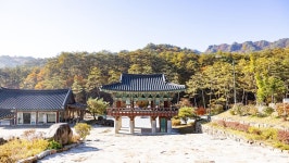 관광지 - 법흥사 상세화면 | 강원관광 > ONLY 강원 > 관광지 강원관광