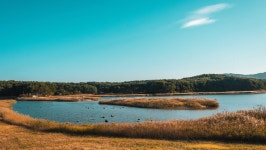 관광지 - 매호 상세화면 | 강원관광 > ONLY 강원 > 관광지 강원관광