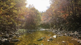 관광지 - 어성전계곡 상세화면 | 강원관광 > ONLY 강원 > 관광지 강원관광