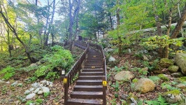 관광지 - 용대자연휴양림 상세화면 | 강원관광 > ONLY 강원 > 관광지 강원관광