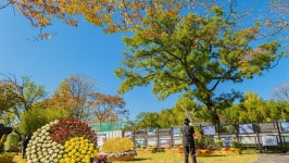 관광지 - 죽서루 상세화면 | 강원관광 > ONLY 강원 > 관광지 강원관광