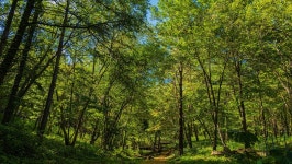 관광지 - 산약초마을 상세화면 | 강원관광 > ONLY 강원 > 관광지 강원관광