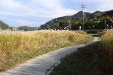 観光地 - 江村遊園地 상세화면 | 강원관광-일문 > 江原道の旅行 > 観光地