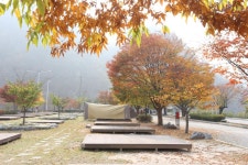 관광지 - 팔봉산관광지야영장 상세화면 | 강원관광 홈페이지 > 강원도여행 > 관광지 강원관광 홈페이지