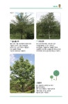 가로수원 < 관람분원들 < 둘러보기 < 수목원 < 산림