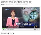 동해특산 대문어 시험·연구 < 종자생산연구 < 종자생산 < 수산자원연구원 < 해양수산 메인