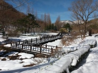 창포원(겨울)상세 | 산림>수목원>정보광장>테마갤러리>경상북도 경북도청, 경상북도, 경북, 도청, Gyeongsangbuk-do