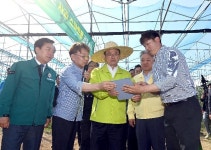 경북도, 전국최초 사과 지능형 농장(스마트팜) 모델 공개! | 보도자료>경북소식>도정소식>경상북도 경북도청, 경상북도, 경북, 도청... 