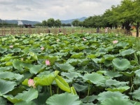 경상북도 수산자원연구원