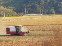 보도자료>경북소식>도정소식>경상북도 경북도청, 경상북도, 경북, 도청, Gyeongsangbuk-do
