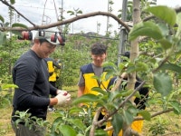 보도자료>경북소식>도정소식>경상북도 경북도청, 경상북도, 경북, 도청, Gyeongsangbuk-do
