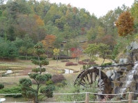 [가을] 산림과학박물관상세 | 산림>산림자원개발원>미디어자료실>개발원 갤러리>경상북도 경북도청, 경상북도, 경북, 도청, Gyeongsangbuk-do