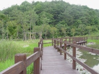 [여름] 소득식물생태숲상세 | 센터 갤러리 < 미디어자료실 < 산림문화체험센터< 산림
