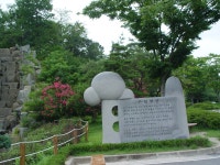 [여름] 산림과학박물관 산림헌장상세 | 산림>산림문화체험센터>미디어자료실>센터 갤러리>경상북도 경북도청, 경상북도, 경북, 도청...