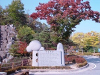 [가을] 산림과학박물관 올라가는입구상세 | 산림>산림문화체험센터>미디어자료실>센터 갤러리>경상북도 경북도청, 경상북도, 경북... 