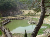 [봄] 소득형 생태숲상세 | 산림>산림자원개발원>미디어자료실>개발원 갤러리>경상북도 경북도청, 경상북도, 경북, 도청, Gyeongsangbuk-do