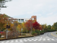 [가을] 산림과학박물관 입구상세 | 산림>산림자원개발원>미디어자료실>개발원 갤러리>경상북도 경북도청, 경상북도, 경북, 도청... 