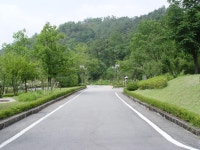 [여름] 산림과학박물관 앞상세 | 산림>산림문화체험센터>미디어자료실>센터 갤러리>경상북도 경북도청, 경상북도, 경북, 도청... 