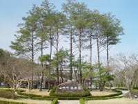 [봄] 산에서 미래를상세 | 산림>산림자원개발원>미디어자료실>개발원 갤러리>경상북도 경북도청, 경상북도, 경북, 도청, Gyeongsangbuk-do