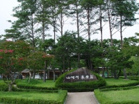 [여름] 산림과학박물관 산에서 미래를상세 | 산림>산림문화체험센터>미디어자료실>센터 갤러리>경상북도 경북도청, 경상북도, 경북... 