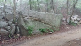 팔공산의 아름다움상세 | 산림>팔공산도립공원관리사무소>Park Memory>경상북도 경북도청, 경상북도, 경북, 도청, Gyeongsangbuk-do