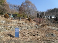 이미지보기