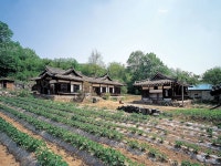 이미지로보기<지역별조회<문화재조회<지정문화재<문화/관광/음식