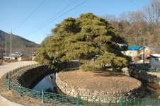이미지로보기<지역별조회<문화재조회<지정문화재<문화/관광/음식