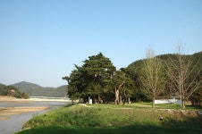 리스트로보기<지정종별조회<문화재조회<지정문화재<문화/관광/음식